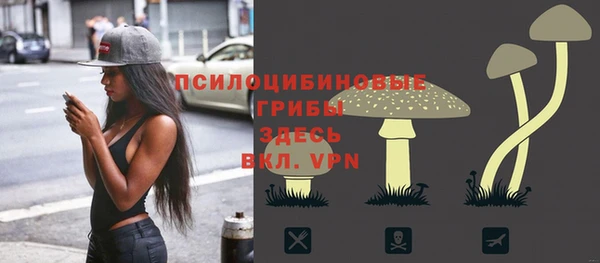 прущие грибы Алзамай