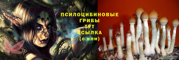 прущие грибы Алзамай