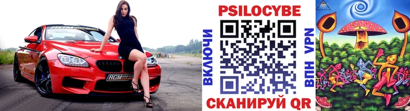 Псилоцибиновые грибы прущие грибы Тамбов