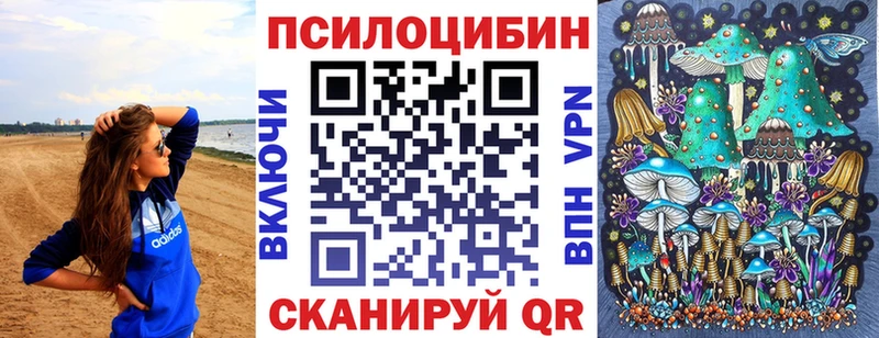купить закладку Тамбов Псилоцибиновые грибы MAGIC MUSHROOMS
